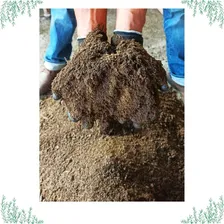Terra Vegetal C/ Esterco De Gado, Galinha E Húmus 25kg Foto mini 2