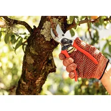 Tesoura Poda Aço Carbono Profissional Bypass Tramontina Cor Laranja Foto mini 4