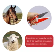 Tesoura Tosquiar Crina Cauda Cavalo Carneiro Apara Lã Ovelha Foto mini 4