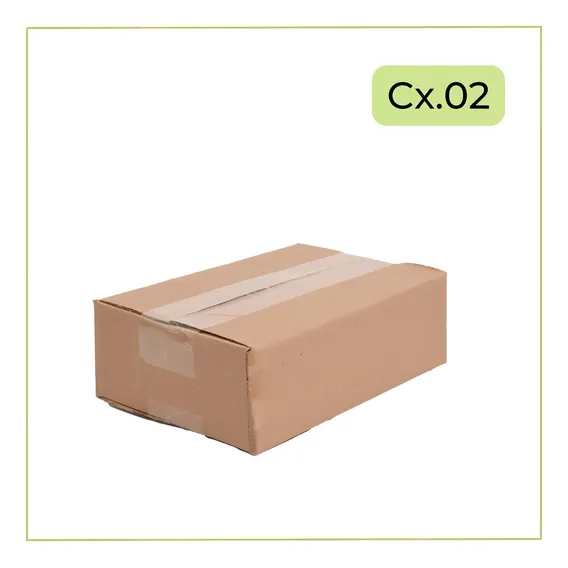 The box 100 caixa papelão correio sedex 20x13x6 s cor parda Foto 1