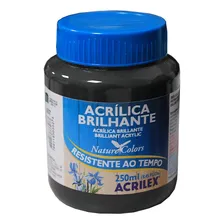 Tinta AcrÃlica Brilhante 250ml Preto 520 Acrilex Foto mini 2
