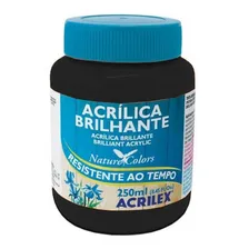 Tinta AcrÃlica Brilhante 250ml Preto 520 Acrilex Foto mini 1