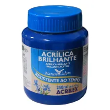 Tinta Acrílica Brilhante Acrilex 250 Tinta Acrílica Brilhante Acrilex 250 Azul Turquesa - 501 Foto mini 1