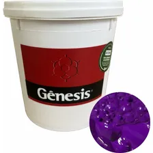 Tinta Hidrocryl Fluor Violeta 900ml - Genesis T5677 Foto  mini 1