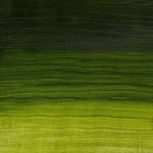 Tinta Óleo Artisan 37ml Winsor & Newton Sr2 A Cor Óleo Permanent Sap Green 503 Foto mini  2