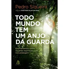 Todo Mundo Tem Um Anjo Da Guarda: Todo Mundo Tem Um Anjo Da Guarda, De Siqueira, Pedro. Editora Sextante, Capa Mole, Edição 1 Em Português Foto mini 1