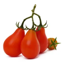 Tomate Pera Vermelho Tomate Pêra Vermelho 1000 Sementes Foto mini 2