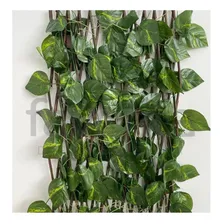 Treliça Gradil Em Madeira Com Folhas Artificiais Decoração Foto mini  3