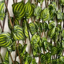 Treliça Gradil Em Madeira Com Folhas Artificiais Decoração Foto mini  2