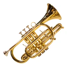 Trompete Cornet Sib Laqueado Michael Wcorm45n ( Outlet ) Foto mini 1
