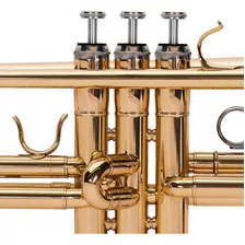 Trompete Michael Wtrm30n Laqueado Bb Sibemol Com Cor Dourado Foto mini 3