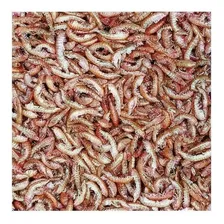 Tropical Ração Gammarus 12g Sachê Para Peixes E Tartarugas Foto mini 2