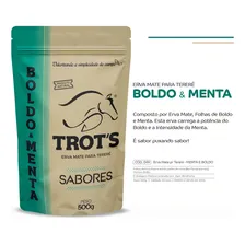 Trots Erva Tereré Premium Sabores Boldo E Menta 500g Foto mini 3