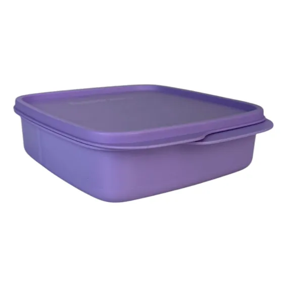 Tupperware Basic Line Com Divisórias 550ml Cor Lilás Foto 1