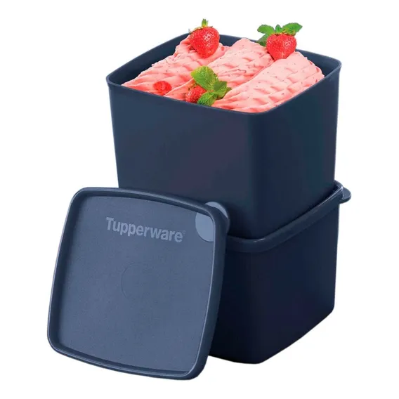 Tupperware | Jeitoso 800 Freezer - Cores Cor Azul-marinho Foto 1