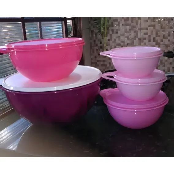 Tupperware Kit Tigelas Criativas Pronta 24 Hrs Foto 1