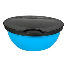 Tupperware Saleiro 300g Cor Azul Foto mini 2