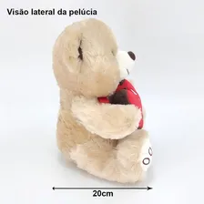 Urso Pelucia Medio Com Coração Para Namorada Foto mini 3