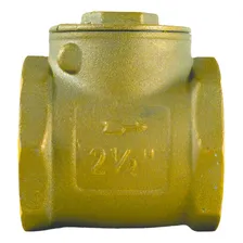 Valvula Retenção Horizontal Pn16 2.1/2 Pol Aprovada Bombeiro Foto mini 1