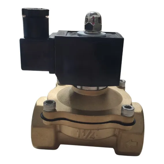 Válvula Solenoide Normal Fechada 2/2 Vias Rosca 1.1/4 220 V Foto 1