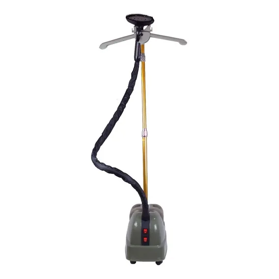 Vaporizador Steamer 110v Profissional A Vapor Passadeira Cor Cinza Foto 1