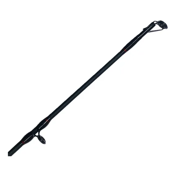 Vara Carretilha Lumis Falcon 2,70m 50lb 2 Partes Foto 1