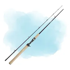 Vara Lumis Infinity 9'0 (2,70m) 20-50lb Carretilha 2 Partes Foto  mini 1