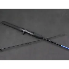 Vara Para Carretilha Albatroz Safira (1,80m) 20lb - 2 Partes Foto mini 4