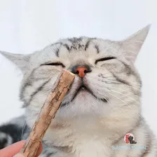 Vareta Matatabi Catnip Limpa Dentes Deixa Gato Feliz 25unid Cor Kit 25 Unid Foto mini 2