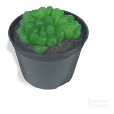 Vasinhos Lembrancinha 07 Cactos Suculentas Mudas 1000 Und Cor Preto Liso Foto mini 4