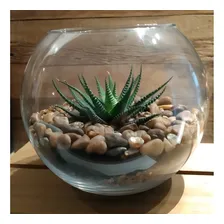 Vaso AquÔrio Redondo Vidro 2 Litros Decoração - Mistral Foto mini 2