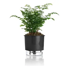 Vaso Auto Irrigável Preto Coleção Rainbow Tamanho 2 Liso Foto mini 4