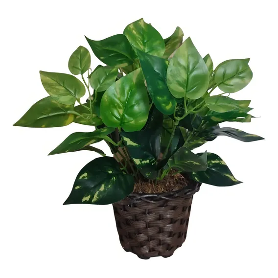 Vaso C/ Planta Artificial Folhagem Decorativa Enfeite Foto 1