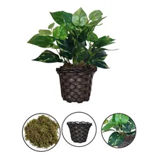 Vaso C/ Planta Artificial Folhagem Decorativa Enfeite Foto mini  3