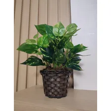 Vaso C/ Planta Artificial Folhagem Decorativa Enfeite Foto mini 4