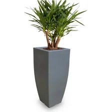 Vaso D Planta Decorativo Alto Polietileno 90x40 Cinza Escuro Foto mini 2