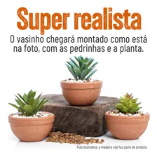 Vaso De Planta Artificial Decorativa Suculentas Kit C/3 Unid Foto mini 4