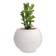 Vaso De Planta Bola Polietileno B 30x40 Branco Foto mini 2