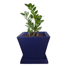 Vaso De Planta Decorativo Polietileno 30x30 + Prato Marinho Foto mini 2