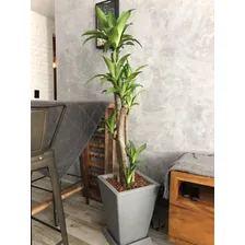 Vaso De Planta Decorativo Polietileno 45x35 + Prato Café Foto mini 2