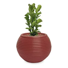 Vaso De Planta Flor Cônico Polietileno B 30x40 Cerâmica Foto mini 2