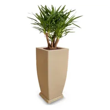 Vaso De Planta + Prato Decorativo Polietileno 90x40 Cm Areia Foto mini 2
