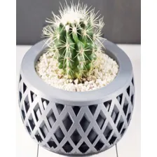 Vaso Decorativo Para Cactus E Suculentas Cor Branco Foto mini  2