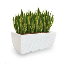 Vaso Jardineira Floreira Decorativa Polietileno 60x25 Branco Foto mini 3