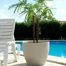Vaso Redondo Europa 28cmx33,5cm Café Japi Cor Marrom Foto mini 2