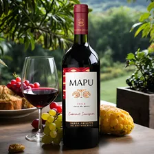 Vinho Mapu Cabernet Sauvignon Tinto 750ml Foto mini 4