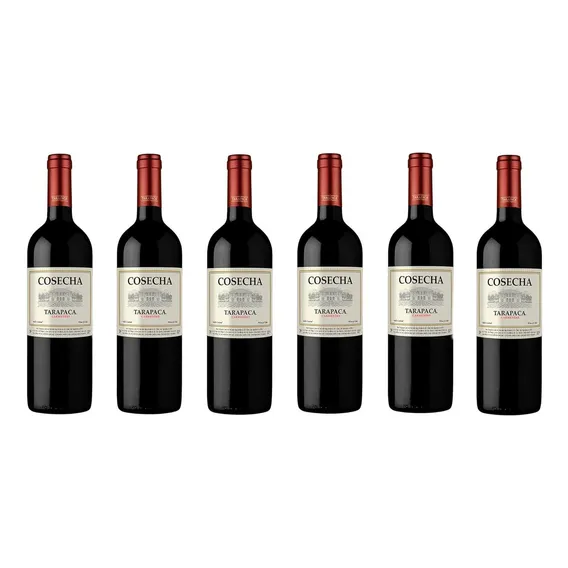 Vinho Tarapaca Cosecha Carmenere 750ml (6 Garrafas) Kit Foto 1