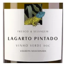 Vinho Verde Portugal Lagarto Pintado Doc 750ml Caixa 6un Foto mini 3
