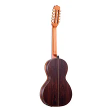 Viola Rozini Profissional Ponteio Acustica Natural Rv122acnj Foto mini  2