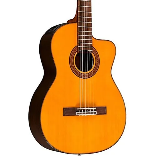 Violao Takamine Gc5ce N Tp4t Nylon Natural Foto 1